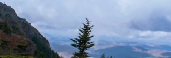 Open Bible resting on a rock overlooking mountains