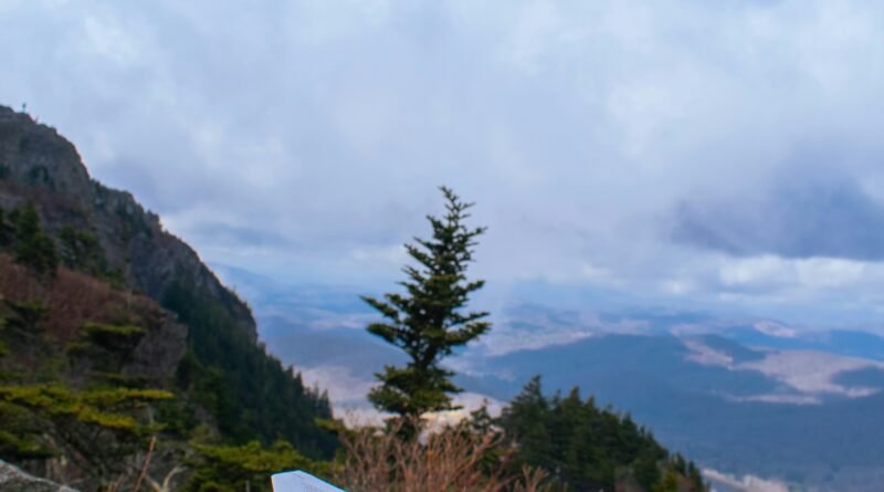 Open Bible resting on a rock overlooking mountains