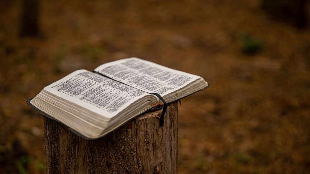 an open bible on a stump