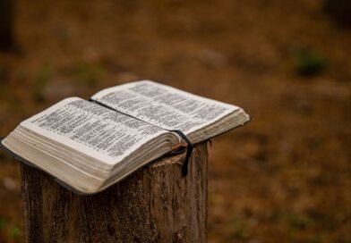 an open bible on a stump